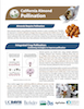 CA Almond Pollination Factsheet