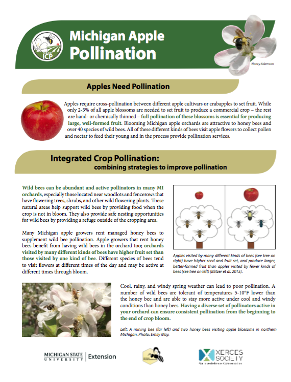 MI Apple Pollination Factsheet