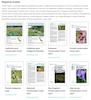 Regional Pollinator Conservation Guides