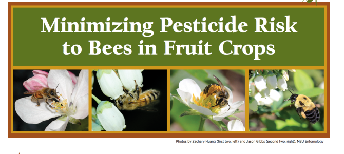 New MSU Extension Bulletin: Minimizing Pesticide Risk to Bees in Fruit Crops